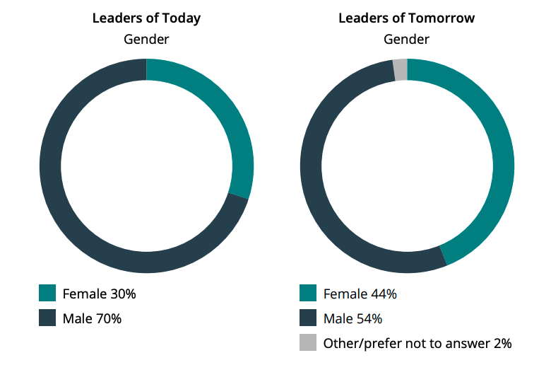 Diagrams showing the gender split of top and upper management of organizations