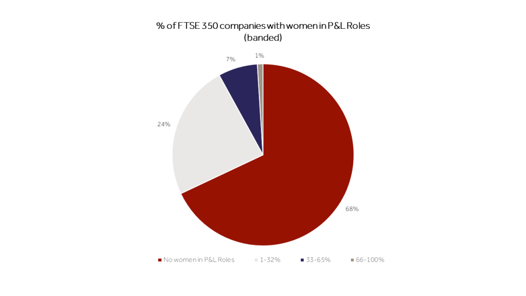 Visual Graphic about women in P&L Roles