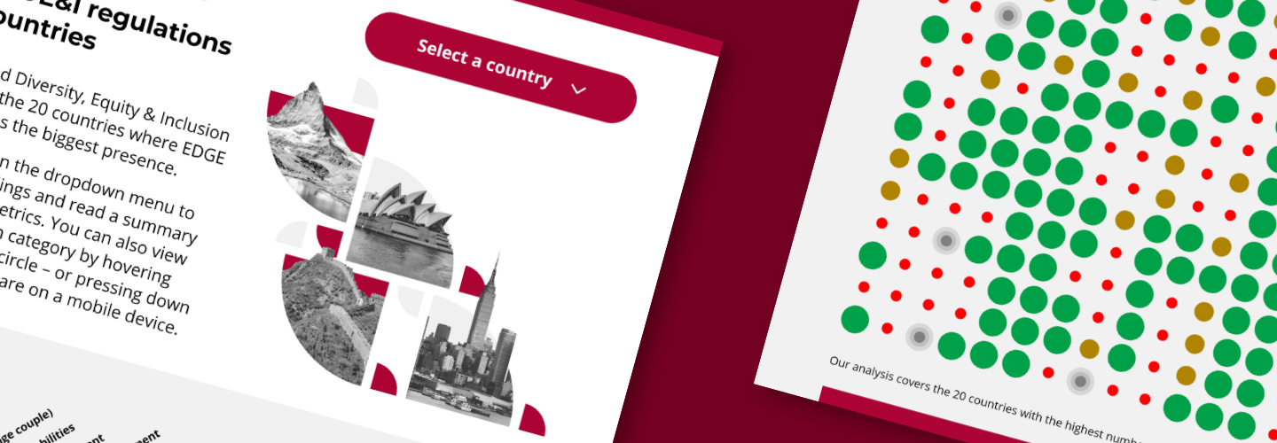 EquiNations: Diversity, Fairness and Inclusion in 20 Countries