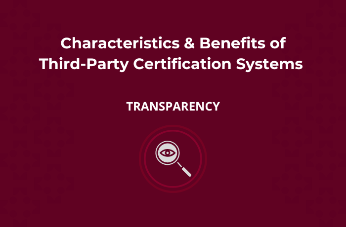 Accelerating DE&I Progress with Third-Party Certification Systems: The Value of Transparency
